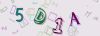Captcha-picture.