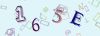 Captcha-picture.