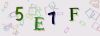 Captcha-picture.