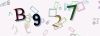 Captcha-picture.