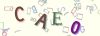 Captcha-picture.
