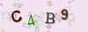 Captcha-picture.