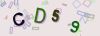 Captcha-picture.