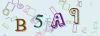 Captcha-picture.