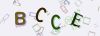 Captcha-picture.