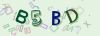 Captcha-picture.