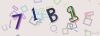 Captcha-picture.