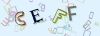 Captcha-picture.