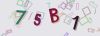 Captcha-picture.