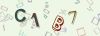 Captcha-picture.