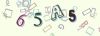 Captcha-picture.