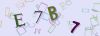 Captcha-picture.